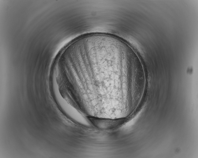 X0000090711077200708171902