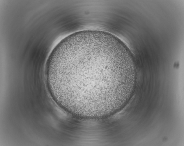 X0000090711078200708171902