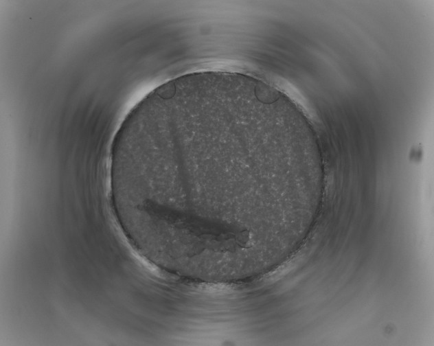 X0000090711079200708171902