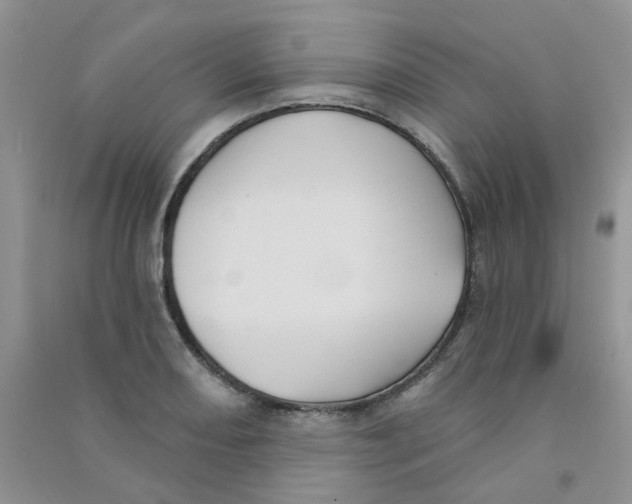 X0000090711082200708171902