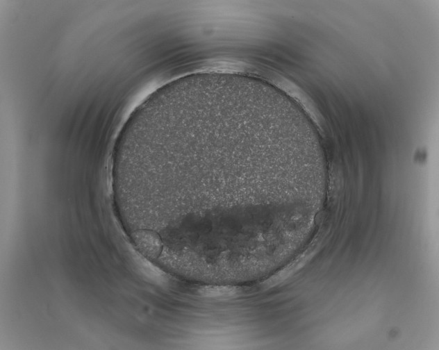 X0000090711083200708171902