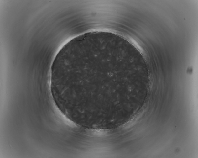 X0000090711084200708171902