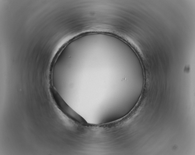 X0000090711085200708171901