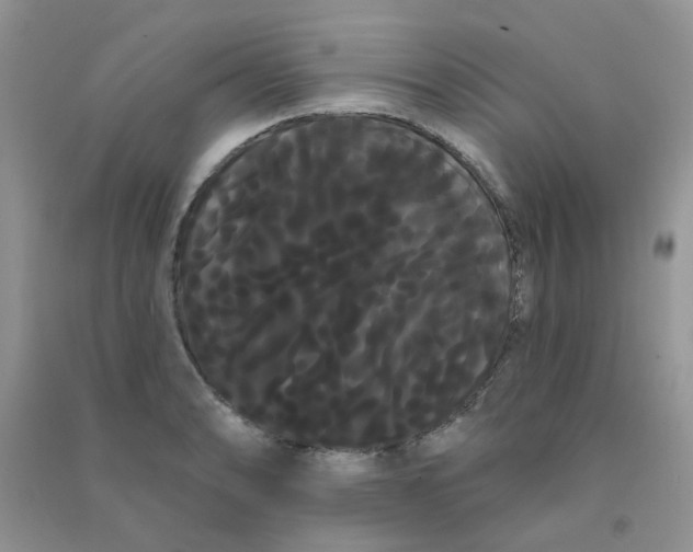 X0000090711086200708171901