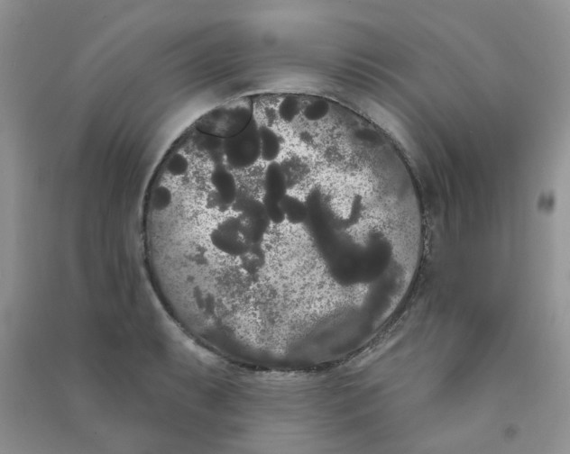 X0000090711087200708171901