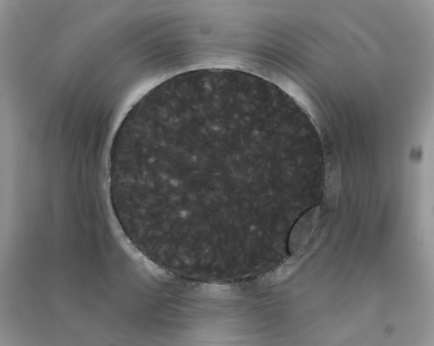 X0000090711088200708171901