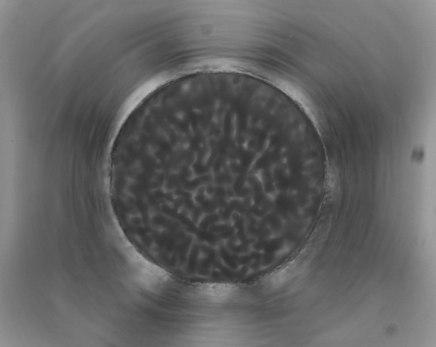 X0000090711090200708171901