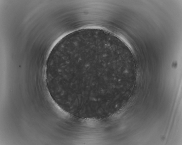 X0000090711092200708171901