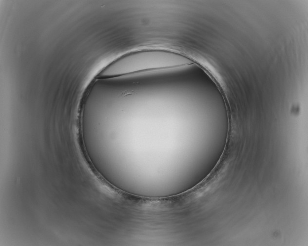 X0000090711093200708171901