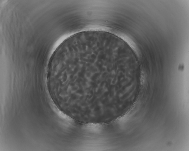 X0000090711094200708171901