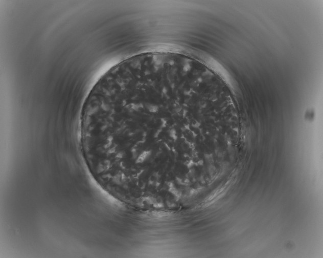 X0000090711095200708171901