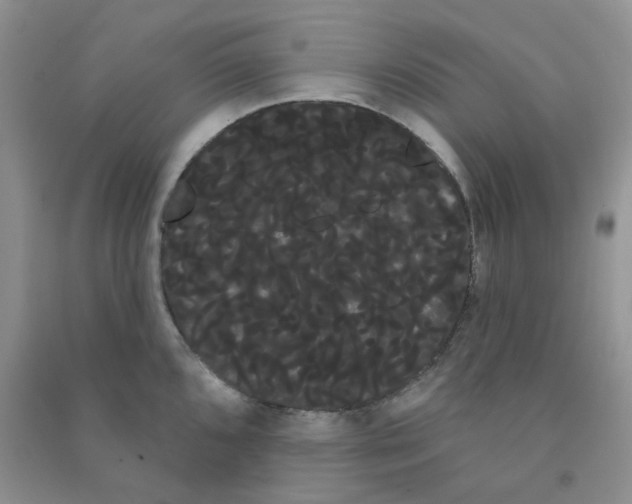 X0000090711096200708171901