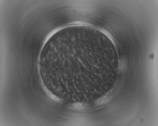 X0000090711098200708171901