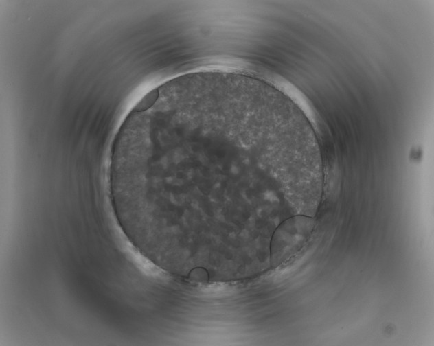 X0000090711099200708171901