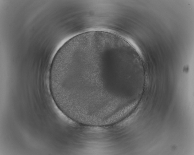 X0000090711100200708171901