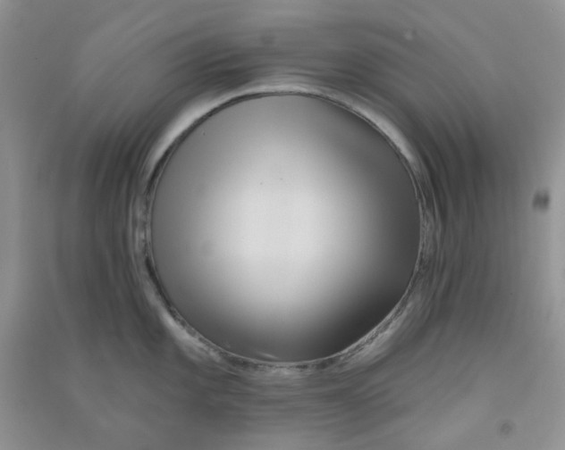 X0000090711101200708171901