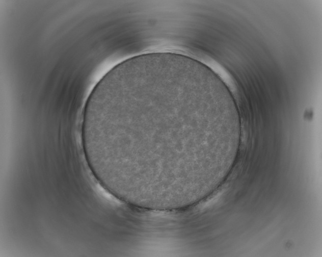 X0000090711102200708171901