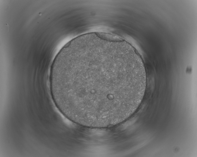 X0000090711103200708171901