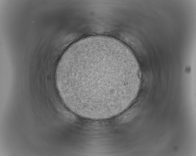 X0000090711105200708171901