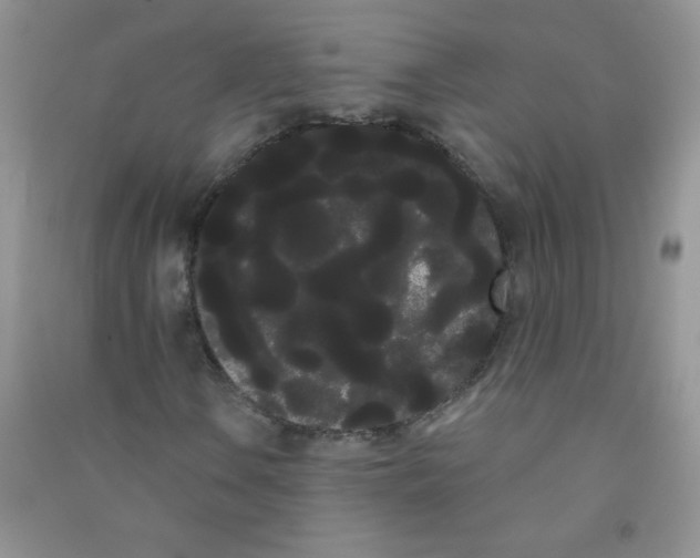 X0000090711106200708171901