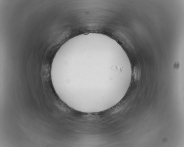 X0000090711107200708171901