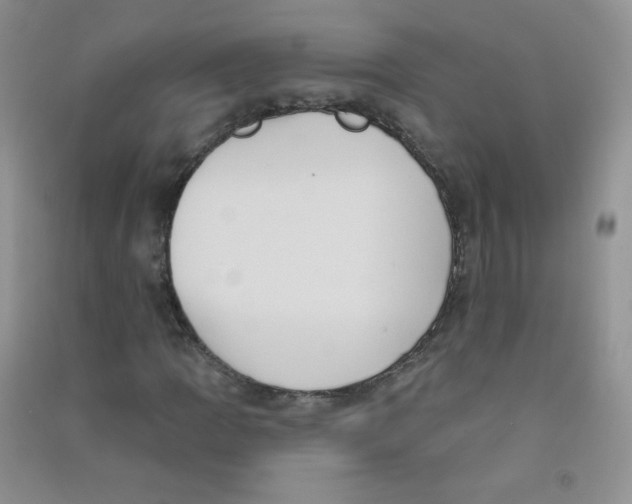 X0000090711109200708171901