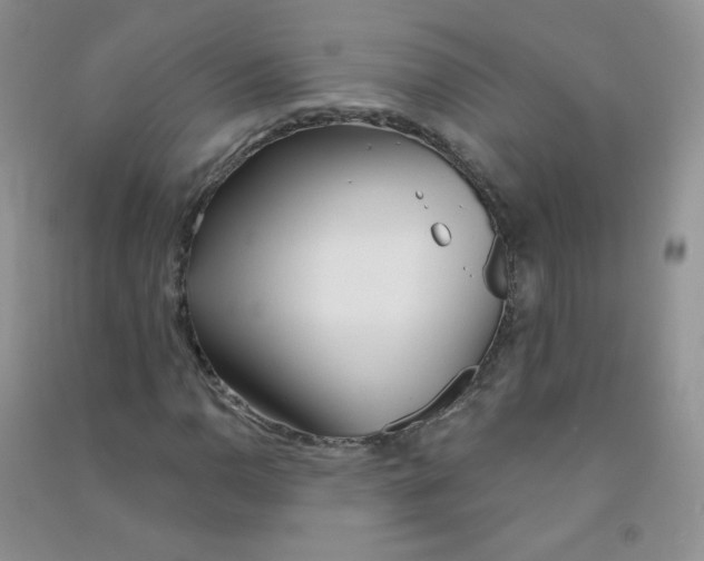 X0000090711110200708171901