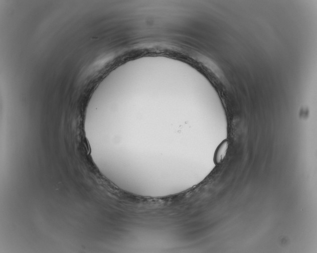 X0000090711111200708171901