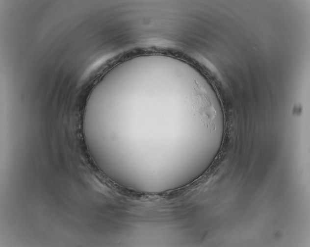 X0000090711112200708171901