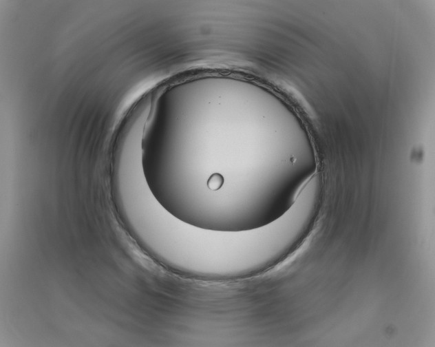 X0000090711114200708171901