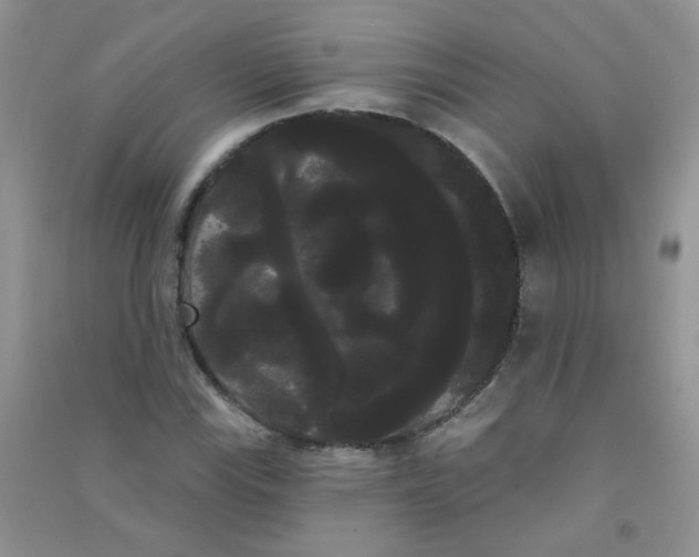 X0000090711115200708171901