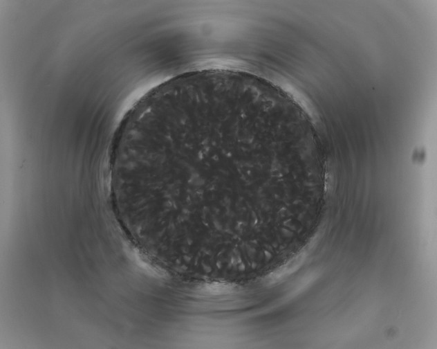 X0000090711117200708171901