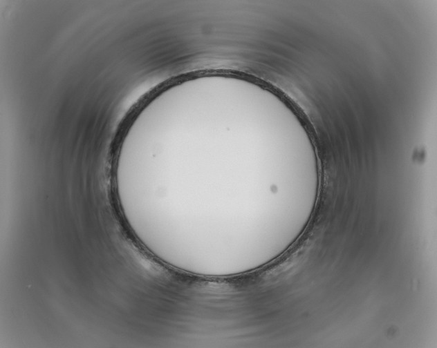 X0000090711119200708171901