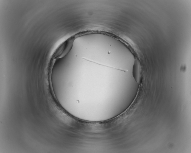 X0000090711120200708171901