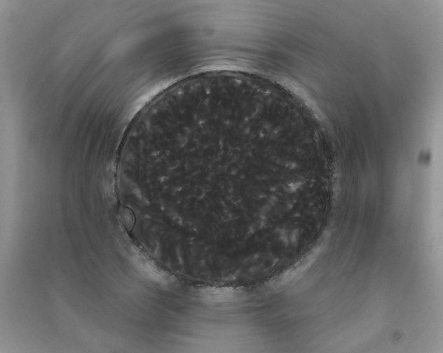 X0000090711121200708171901