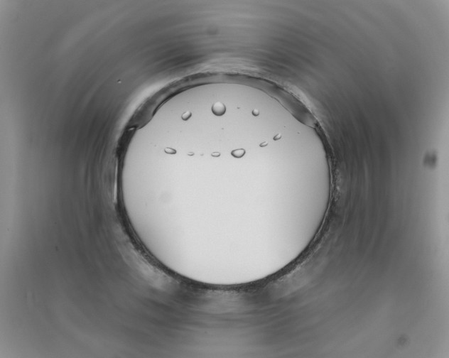 X0000090711123200708171901