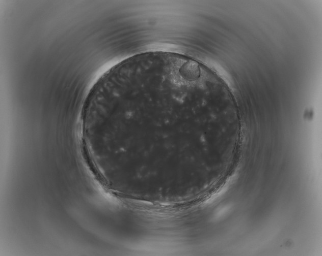 X0000090711125200708171901