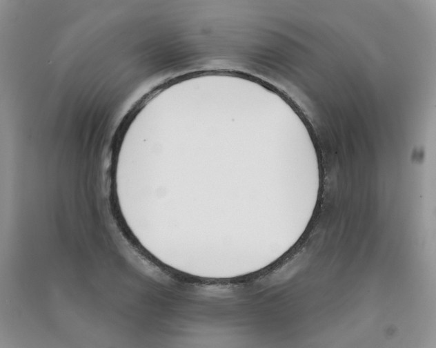 X0000090711126200708171901