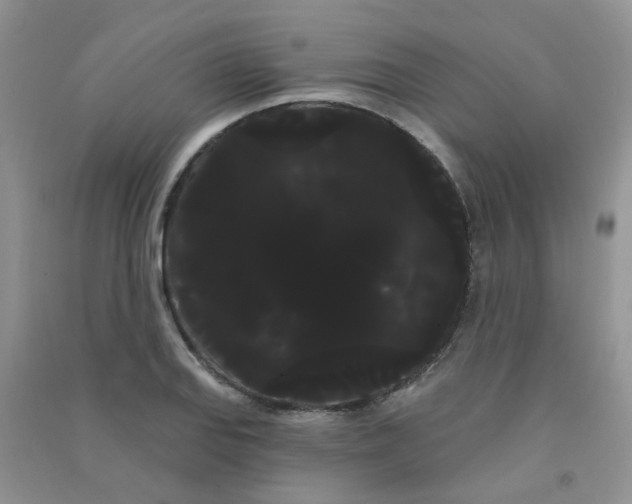 X0000090711127200708171901