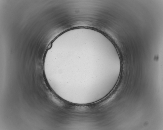 X0000090711129200708171901