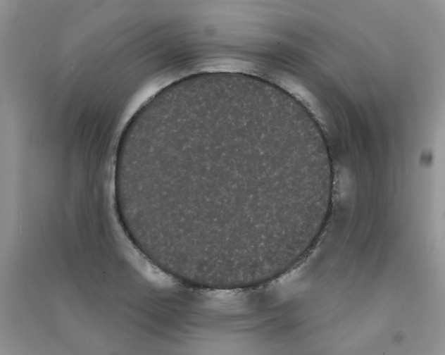 X0000090711130200708171901