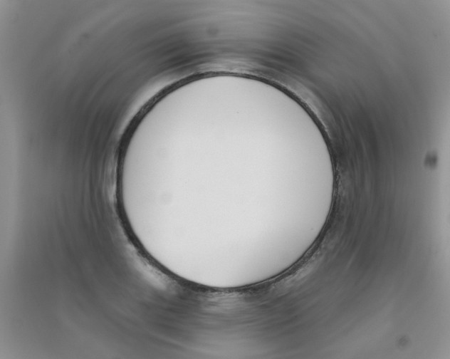 X0000090711131200708171901