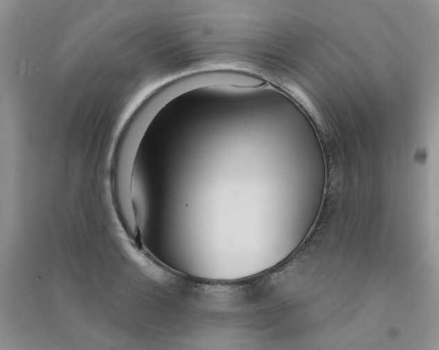 X0000090711132200708171901