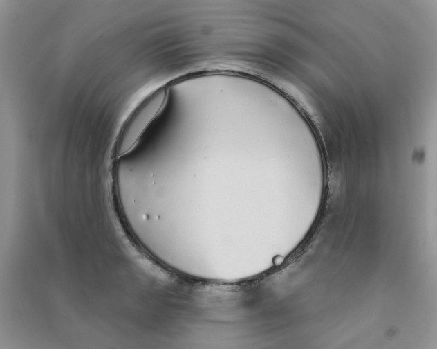 X0000090711133200708171901