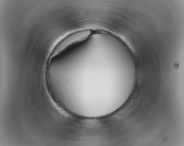 X0000090711134200708171901