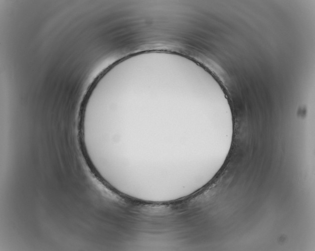 X0000090711135200708171901