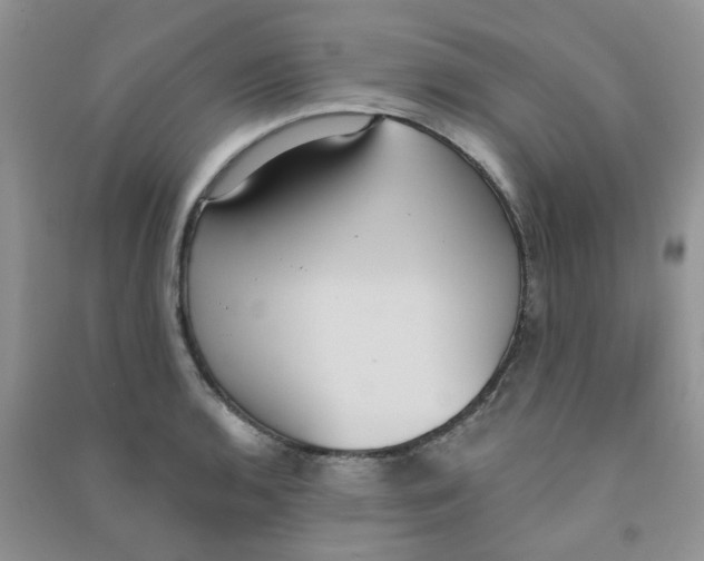 X0000090711136200708171901