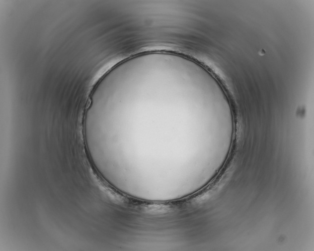 X0000090711137200708171901