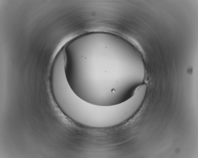 X0000090711138200708171901