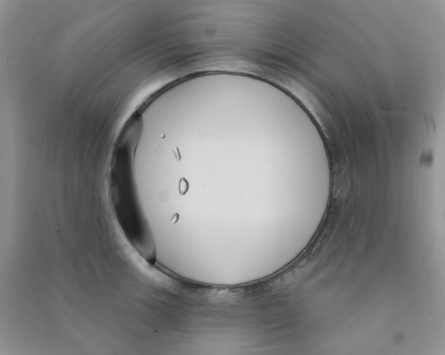 X0000090711139200708171901